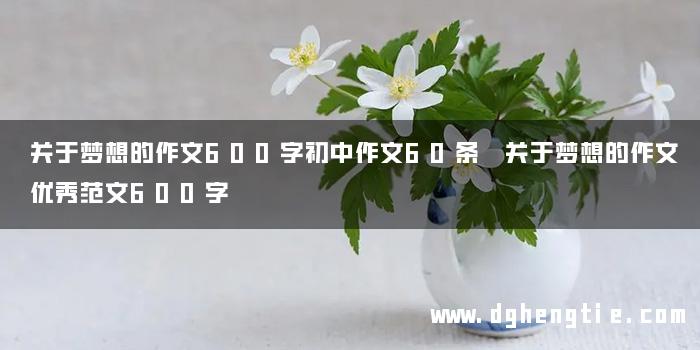 关于梦想的作文600字初中作文60条 关于梦想的作文优秀范文600字